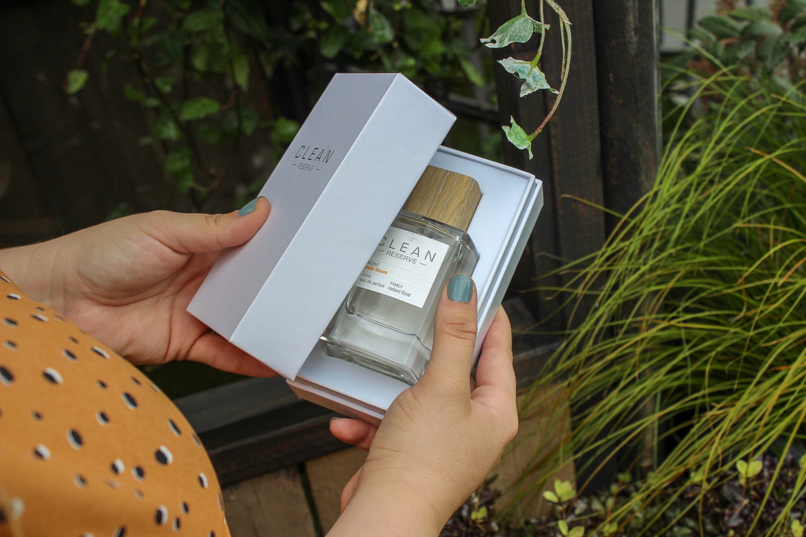 Discover Clean Reserve Solar Bloom Alice Anne